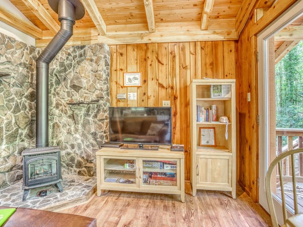 Living room with television